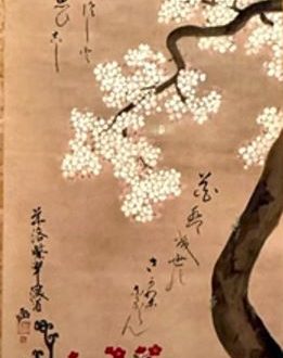 【桜に春草図】尾形乾山‐東京国立博物館所蔵