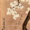 【桜に春草図】尾形乾山‐東京国立博物館所蔵
