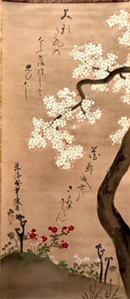 【桜に春草図】尾形乾山‐東京国立博物館所蔵