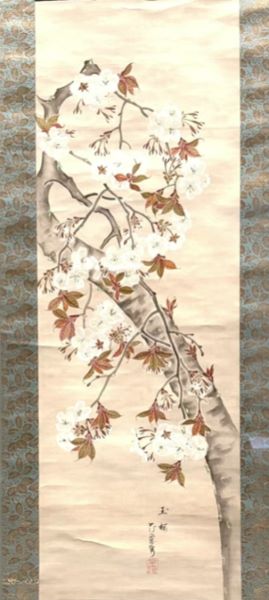【桜花図】広瀬花隠‐東京国立博物館所蔵