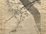 【朧月桜花】木島桜谷‐東京国立博物館所蔵