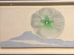 【タチアオイの白と緑ーベダーナル山の見える】ジョージア・オキーフー東京国立近代美術館所蔵