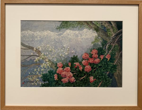 【ヒマラヤ山と石楠花】丸山晚霞ー東京国立近代美術館所蔵