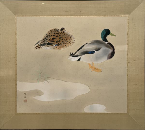 【鴨】山口華楊ー東京国立近代美術館所蔵